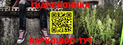 PSILOCYBIN Новодвинск