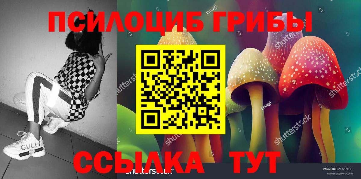 Псилоцибиновые грибы Magic Shrooms Истра