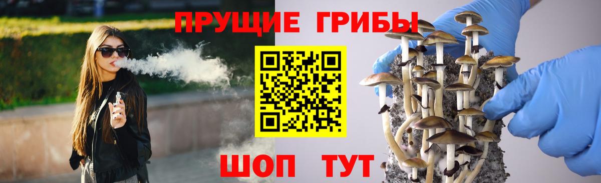 Псилоцибиновые грибы Psilocybine cubensis  Псилоцибиновые грибы GOLDEN TEACHER  Вход с VPN  Истра 
